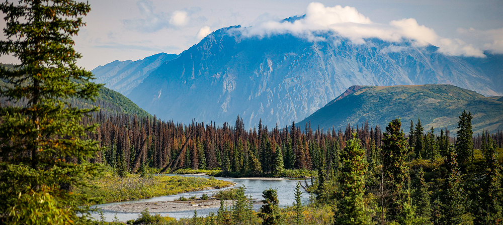 Mountain landscape with forest and river.